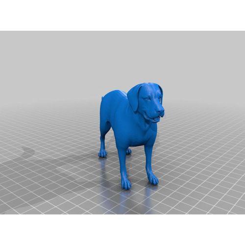 DOG (Bu ürün Sadece Plastik parçadır - Almadan Önce Soru Sorabilirsiniz)