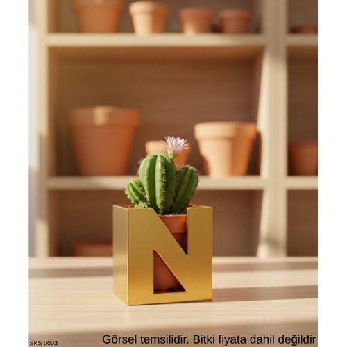 Gold Harf Şeklinde Mini Dekoratif Saksı Kişiye Özel Baş Harf Tasarım Masaüstü Ofis Dekoru