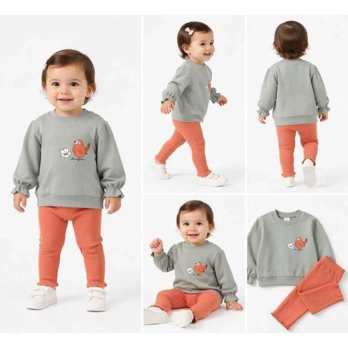 6/24 Ay Kuş Baskılı Taytlı Penye Bebek Takımı