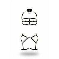 Siyah Harness Takım O Halka Detaylı Tokalı - Brf242