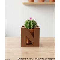 Kahve Rengi Harf Şeklinde Mini Dekoratif Saksı Kişiye Özel Baş Harf Tasarım Masaüstü Ofis Dekoru 7 Cm
