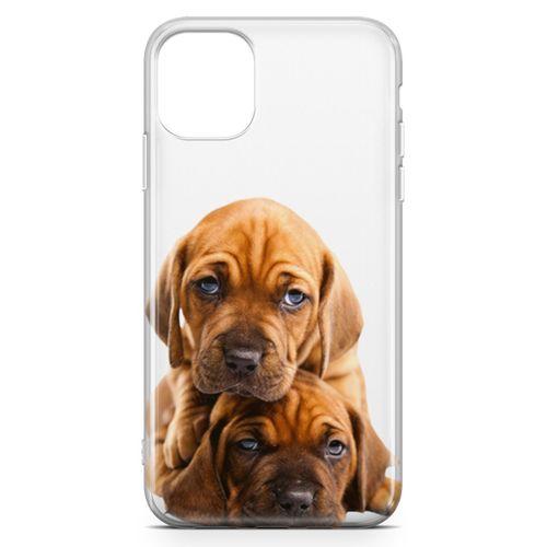 Apple iPhone 11 Pro Max Kılıf Amstaff Dachshund Arka Kapak Koruma Desenli Full Koruyucu