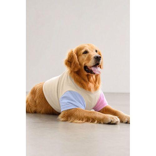 Soft Sun Orta ve Büyük Irk Köpek Tişörtü | Lacivert Kırmızı Yazlık Köpek Kıyafeti