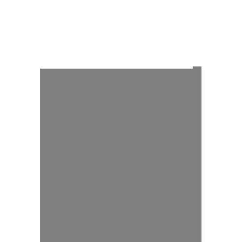 10 Adet Beli Yazılı Pamuklu Kalın Lastik Kadın Slip Külot