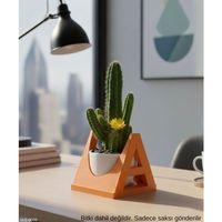 Turuncu A Harf Seklinde Mini Dekoratif Saksi Ismine Ozel Bas Harf Tasarim 75 Cm Masa Ustu Ofis Dekoru