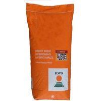 Hibrit Mısır Tohumu - KWS KEBEOS - 50.000 Adet