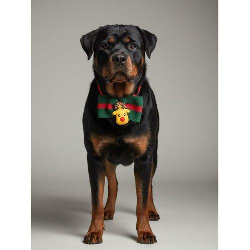 Royal Rudolph Premium Yılbaşı Köpek Papyonu | Limited Edition Luxe Aksesuar | Orta & Büyük Irklar İçin