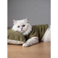 Natura Cozy Pati & Yastık | Nefti Yeşil Polar Kedi Sweatshirt ve Mini Yastık | 2 Parça