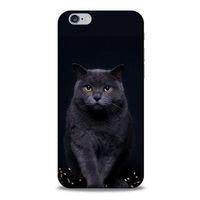 Lopard Apple Iphone 6S Uyumlu Kılıf Kediler (47) Crystal Flex Kılıf Scottish Fold