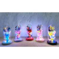 Işıklı Müzikli Cam Fanus İçinde Lavantalı Romantik Gül