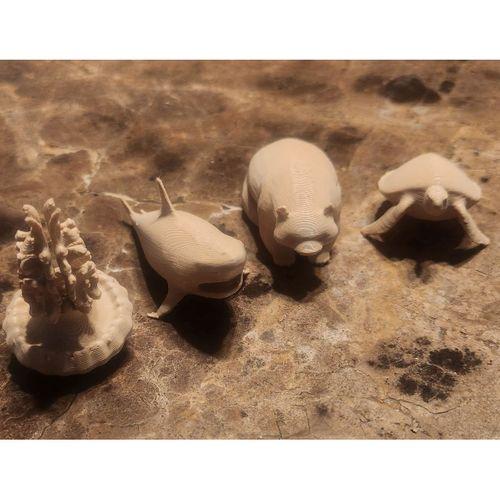 Jöle Balık – 6900627