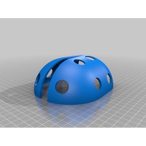 Büyük Ladybug - 5146145