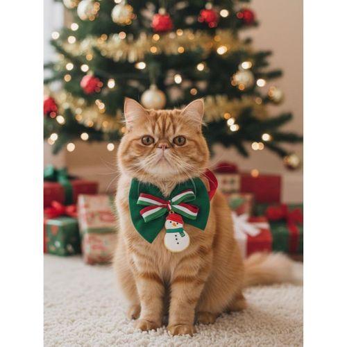 Kardan Adam Kedi Papyon Tasması | Yeşil Kırmızı Fiyonk Boyun Aksesuarı | Noel Temalı Kedi Süsü