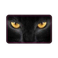 SEVGENT Cg Kedi Far Filmi