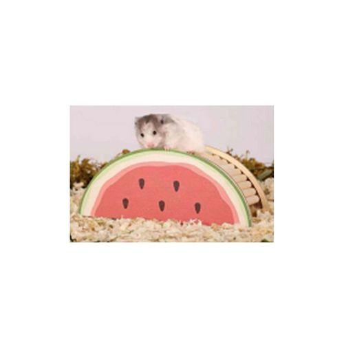 Pawise Ahşap Kemirgen Yuvası Karpuz