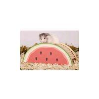 Pawise Ahşap Kemirgen Yuvası Karpuz