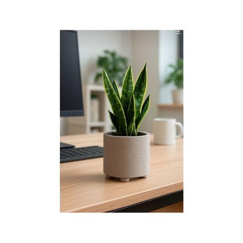 4 Ayaklı Beton Saksı Kalıbı (Bu ürün Sadece Plastik parçadır - Almadan Önce Soru Sorabilirsiniz)