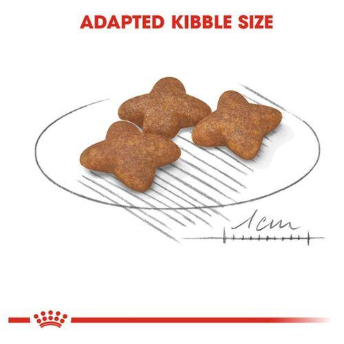 Royal Canin Mini Adult Küçük Irk Yetişkin Kuru Köpek Maması 2 Kg