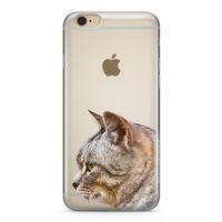 Apple iPhone 6 6s Kılıf Siberian Cat Arka Kapak Koruma Desenli Full Koruyucu