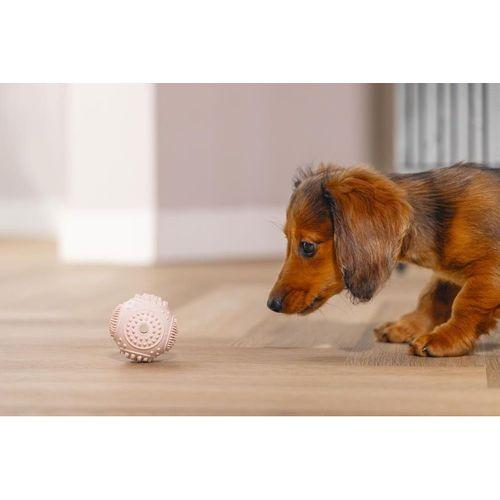 Beeztees Yavru Köpek Oyuncağı, Diş Kaşıma ve Masaj Topu, Kauçuk, Pembe, 5cm