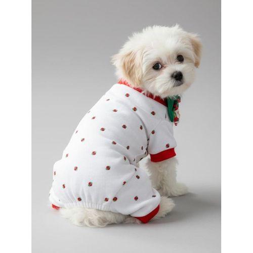 Berry Köpek Tulumu | Pamuklu Penye Köpek Pijaması | Küçük Irklar İçin | Tüy Dökülmesini Azaltır