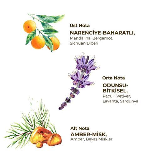 Eyüp Sabri Tuncer Erkek Roll On Deodorant 75 ml Sport