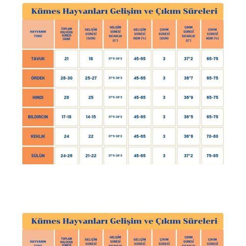 60 Yumurta Kapasiteli Tam Otomatik Kuluçka Makinesi - Civciv, Kaz, Hindi Ve Ördek Yetiştiriciliği Epo-w60