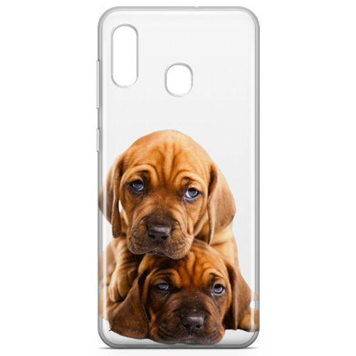 Samsung Galaxy A20 Kılıf Amstaff Dachshund Arka Kapak Koruma Desenli Full Koruyucu