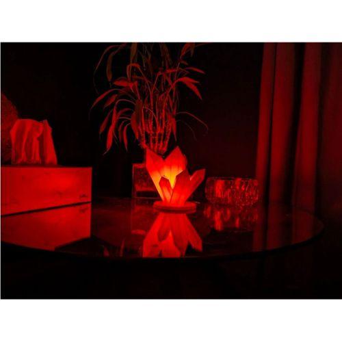 - Dev Kristal Lamba Mumluk Ampul İçin 3D Baskı (Bu ürün Sadece Plastik parçadır - Almadan Önce Soru Sorabilirsiniz)