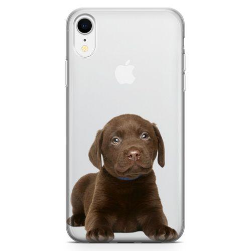 Apple iPhone XR Kılıf Yavru Labrador Arka Kapak Koruma Desenli Full Koruyucu