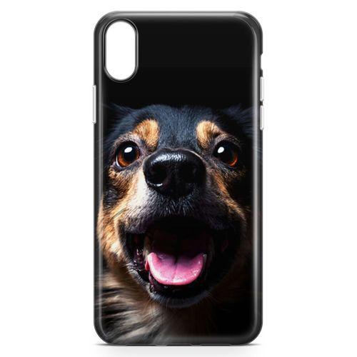 Apple iPhone XR Kılıf Spaniel Arka Kapak Koruma Desenli Full Koruyucu