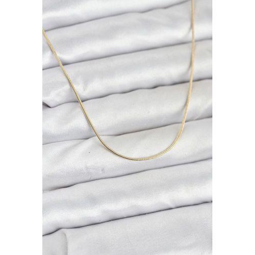 CM 14K Gold Renk Yılan Zincir Model Kadın Kolye