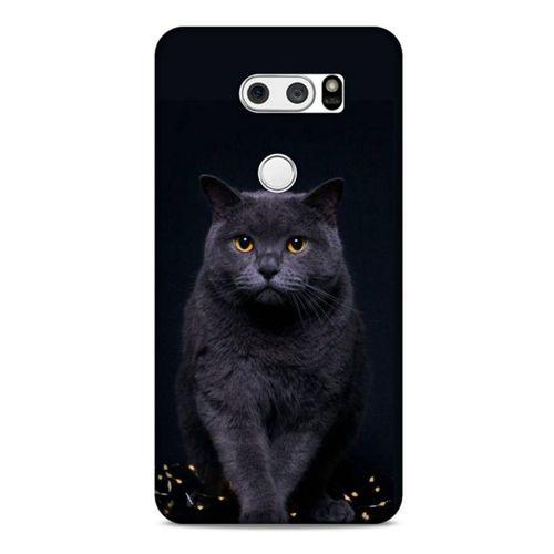 Lopard LG K40S Uyumlu Kılıf Kediler (47) Crystal Flex Kılıf Scottish Fold