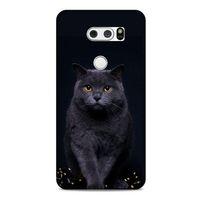 Lopard LG K40S Uyumlu Kılıf Kediler (47) Crystal Flex Kılıf Scottish Fold
