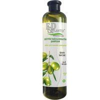 Plantix Zeytinyağı Ve Keratin Şampuan 700 ml 8697869090192