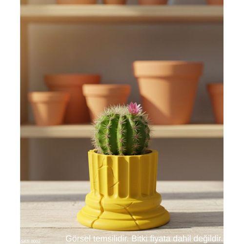 Sari Klasik Sutun Form Mini Dekoratif Saksi 7 Cm Masa Ustu Ofis Dekoru