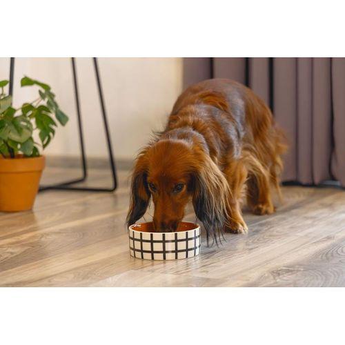 Beeztees Köpek Mama Su Kabı, Seramik, Kiremit Beyaz, 13,5cm, 500ml