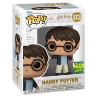 Funko Pop Harry Potter 173