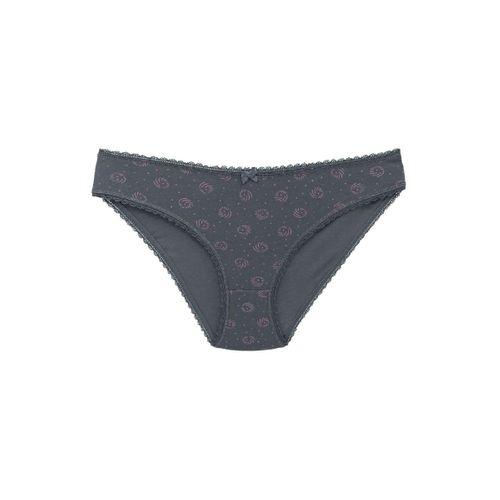 3'lü Damla Lastik Bikini Kadın Külot