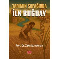 Tarımın Şafağında İlk Buğday