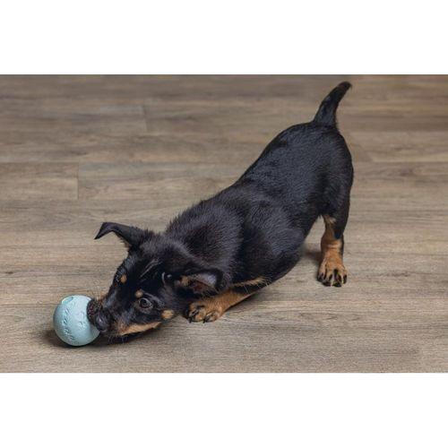 Beeztees Yavru Köpek Oyuncağı, Top, Kauçuk, Yeşil, 6cm