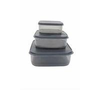 3'lü Yatay Füme Renk Saklama Kabı Royaleks-VİV-OX258