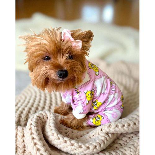 Toad Teddy Penye Tulum Yastık Takım Uyku Set Köpek Tulum Elbise