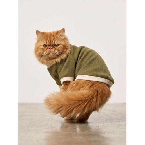 Natura Kedi Polar Sweatshirt | Kapüşonsuz Yumuşak Polar Kedi Kıyafeti | Nefti Yeşil
