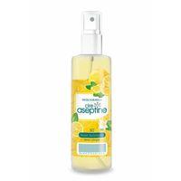 Limon Kolonyası Sprey Ev Ofis Pratik Kullanım 100ml