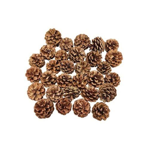 Aker Hediyelik 40lı Sağlıklı Dekoratif Çam Kozalakları Dekor Kozalak Satın Al Minik Kozalaklar Sipariş Etmek