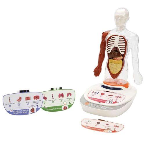 S00005280 BİLİM SET İNSAN VÜCUDU MODELİ 23PRÇ