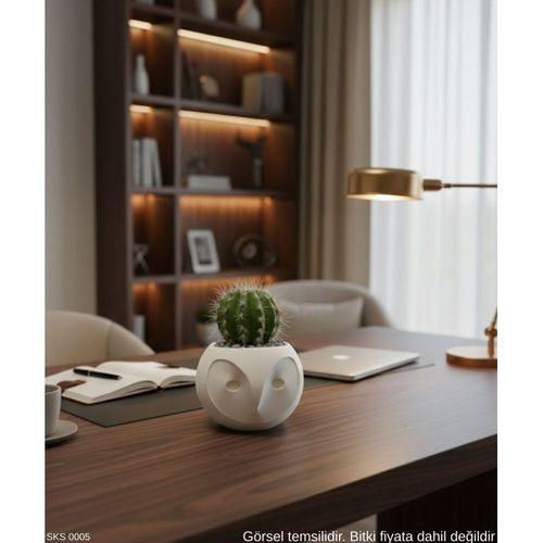 Beyaz Baykuş Figürlü Mini Dekoratif Saksı 6 Cm Masaüstü Ofis Dekoru