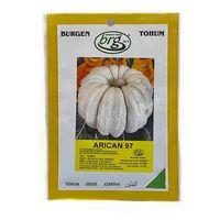 BT Arıcan 97 Kabak Tohumu 10 gr