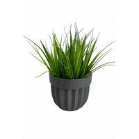 Çizgili Saksı Sazlı Çiçek Royaleks-5782